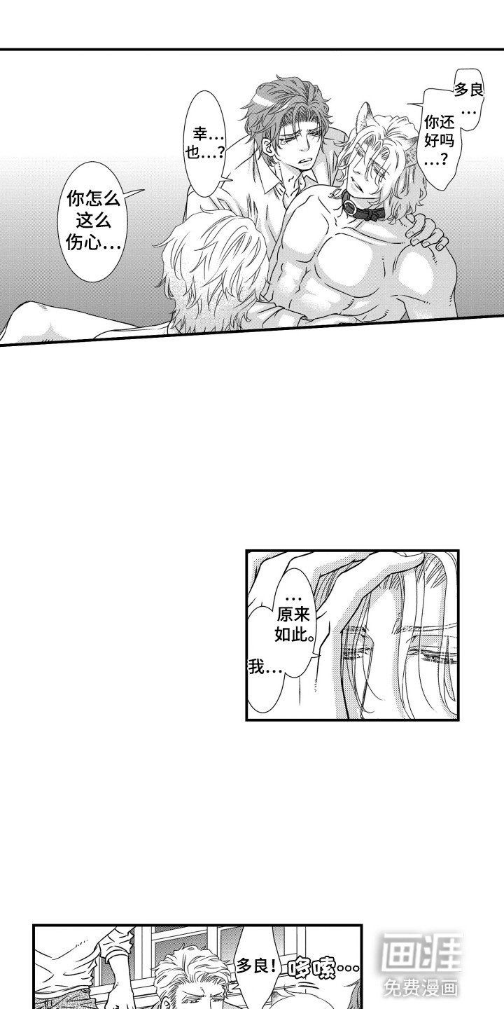 第15章：暴露