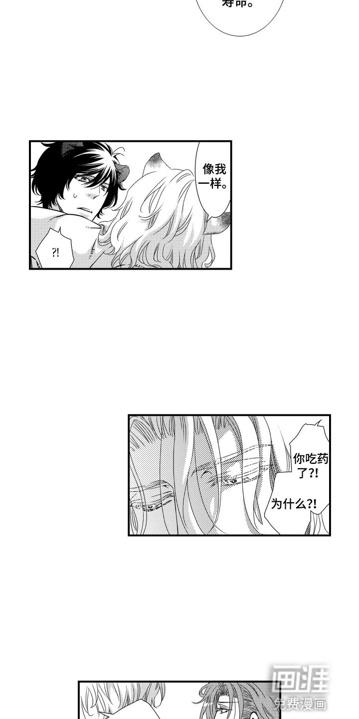 第15章：暴露