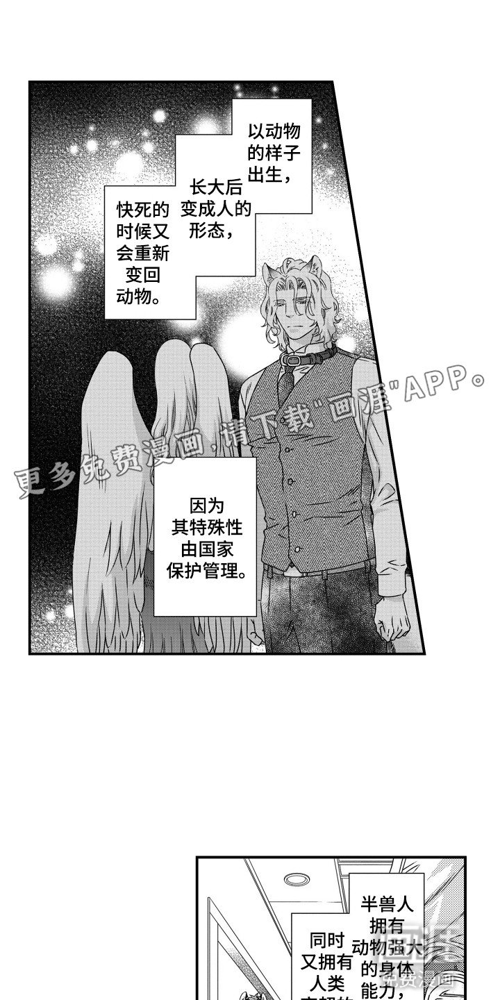 第2章：兽化