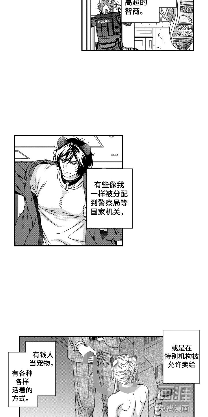 第2章：兽化