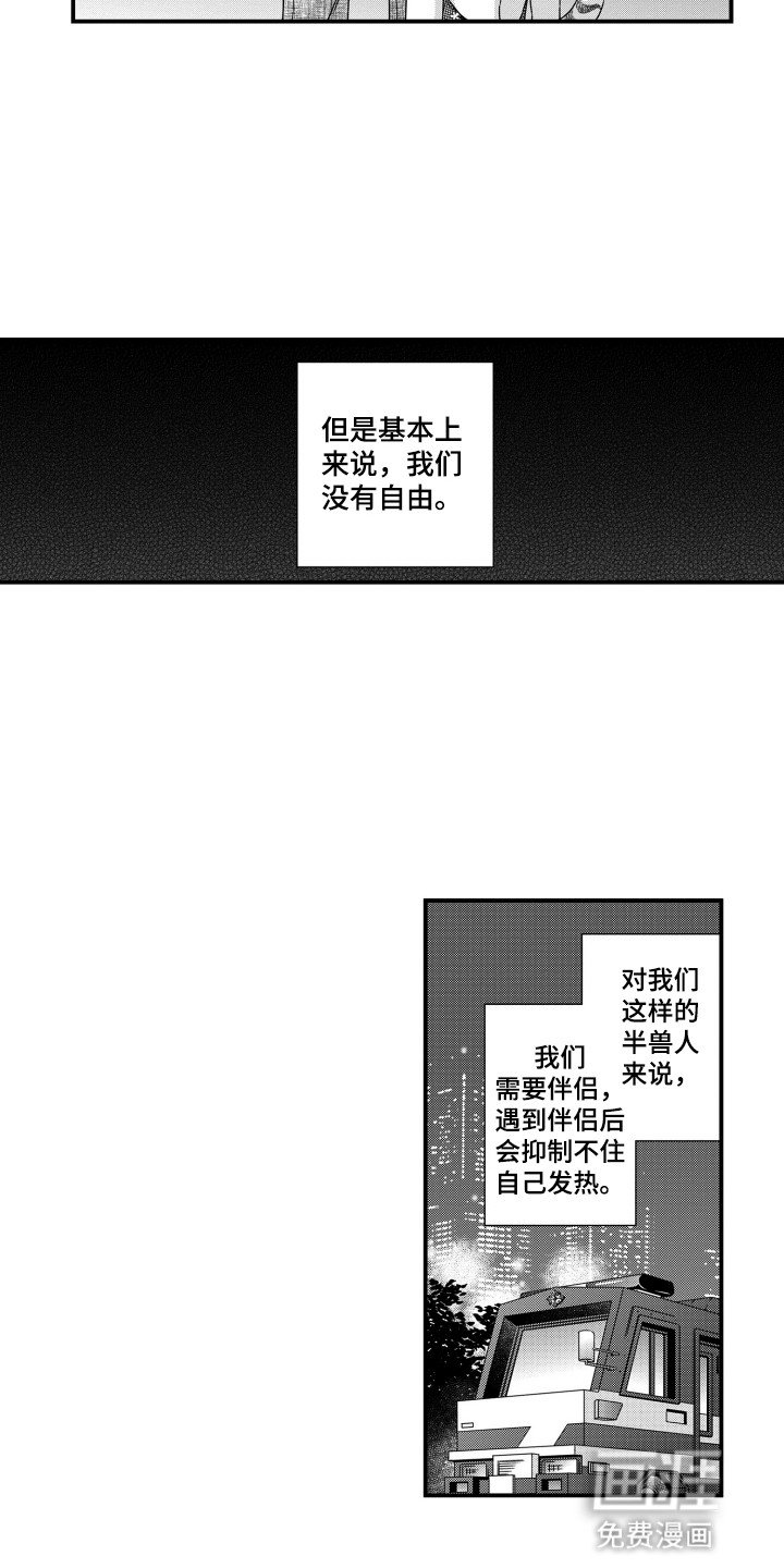 第2章：兽化