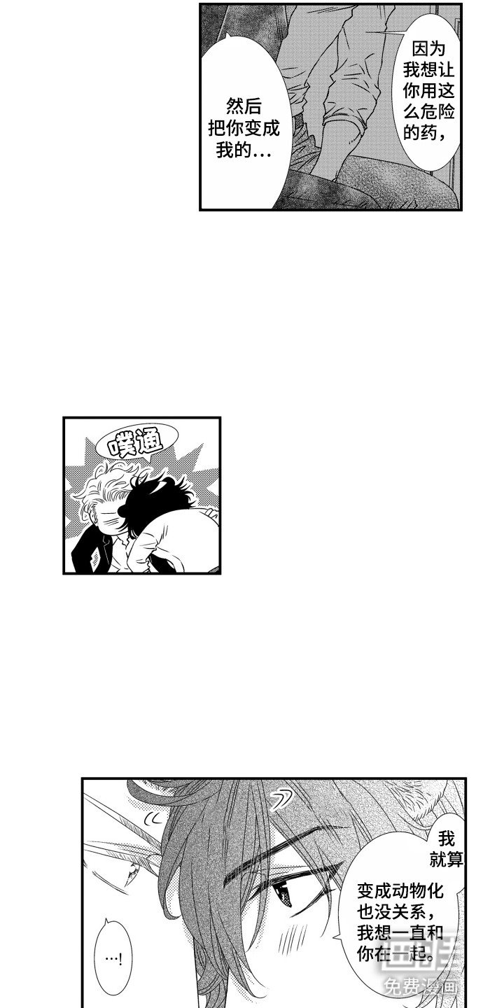 第21章：尝试