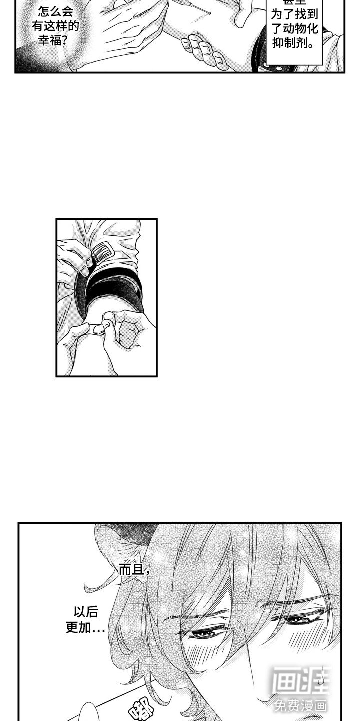 第21章：尝试