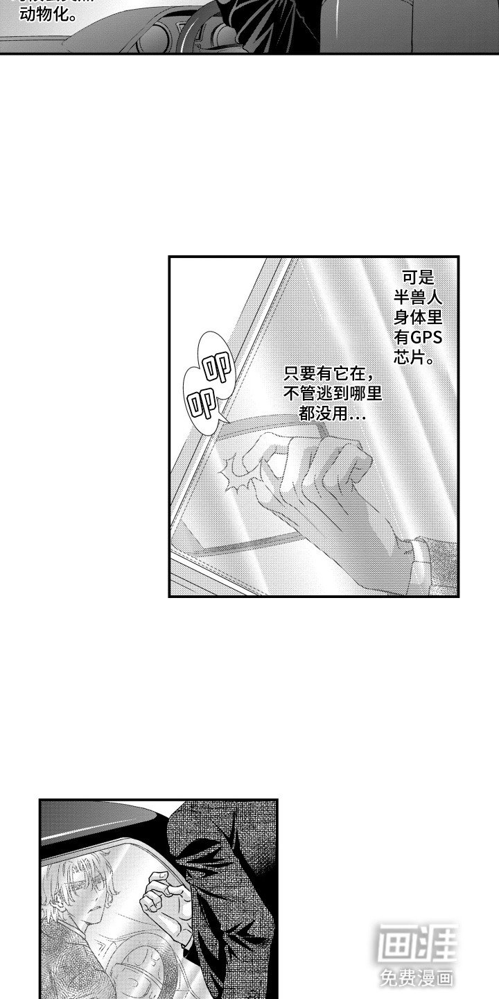 第26章：他们的未来