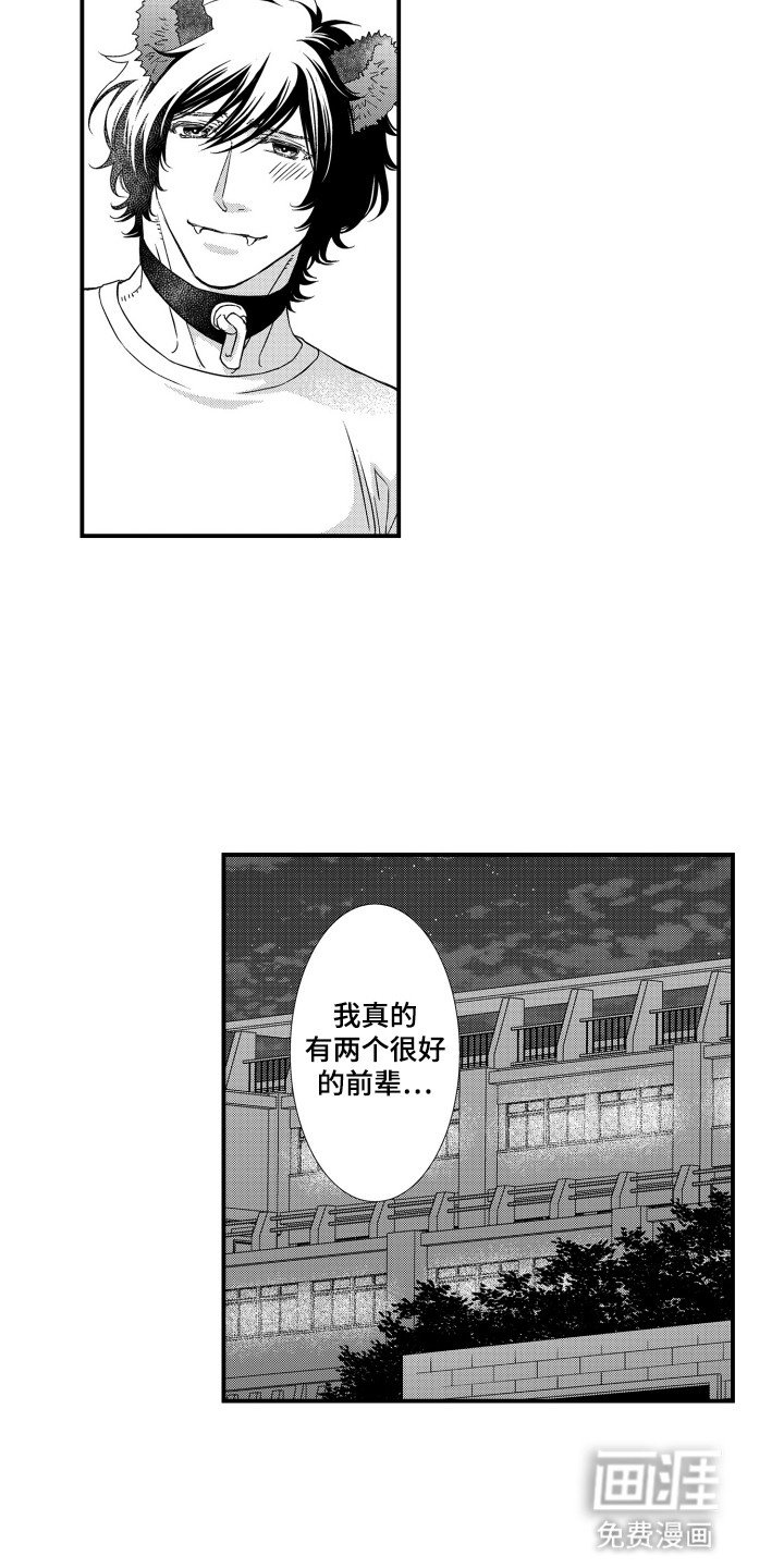 第28章：发现端倪