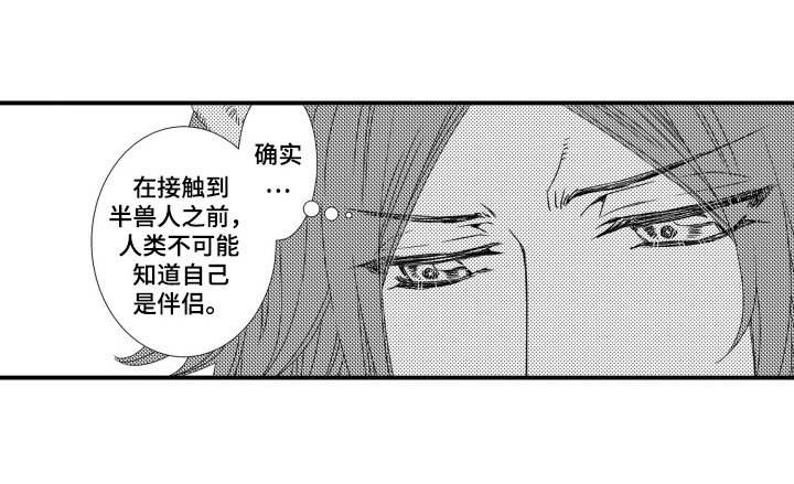 第35章：对策