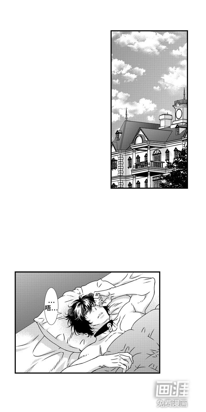 第6章：羡慕
