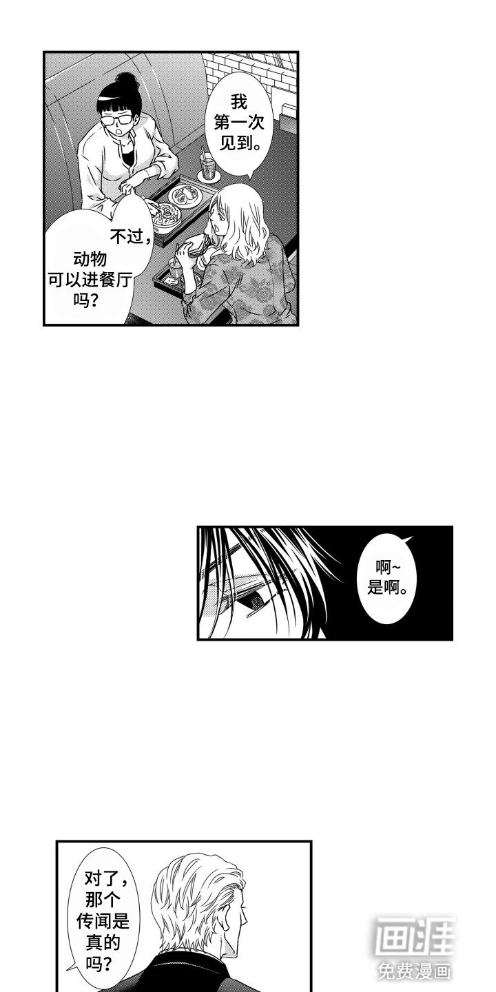 第7章：闲话