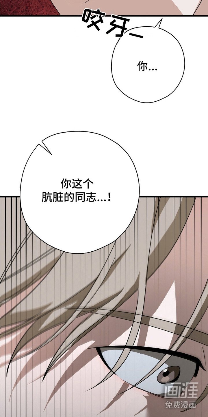 第11章：理由