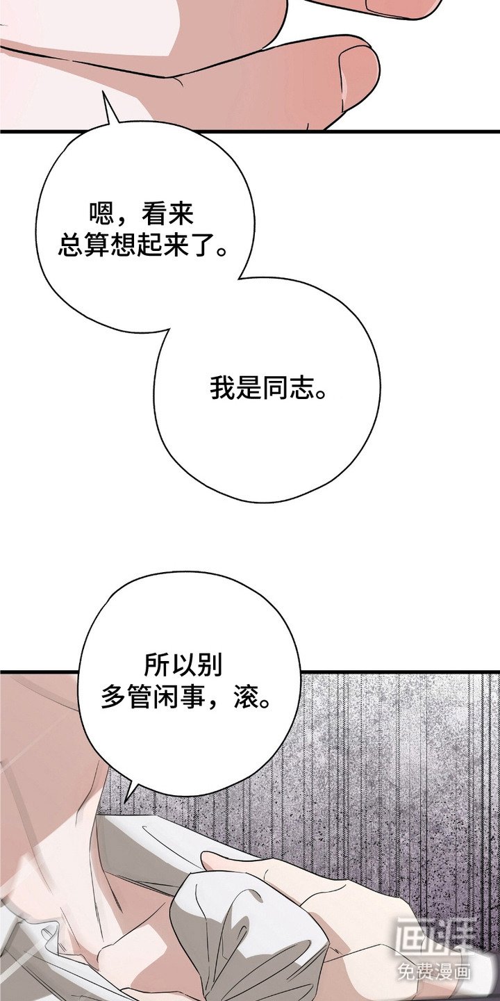 第11章：理由