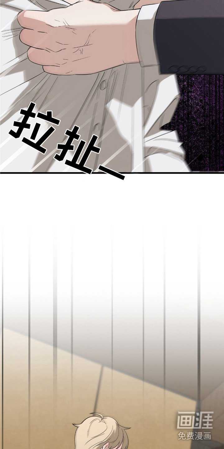 第11章：理由