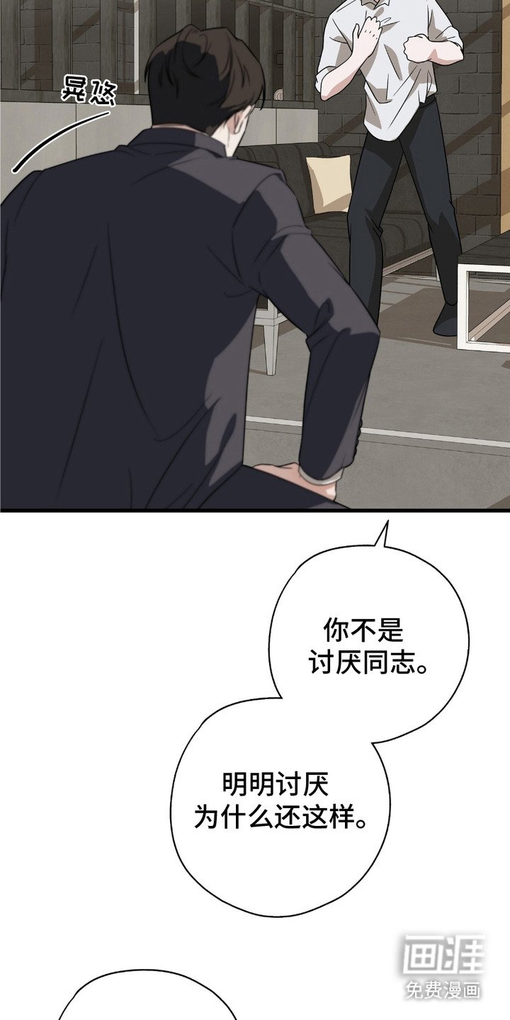 第11章：理由