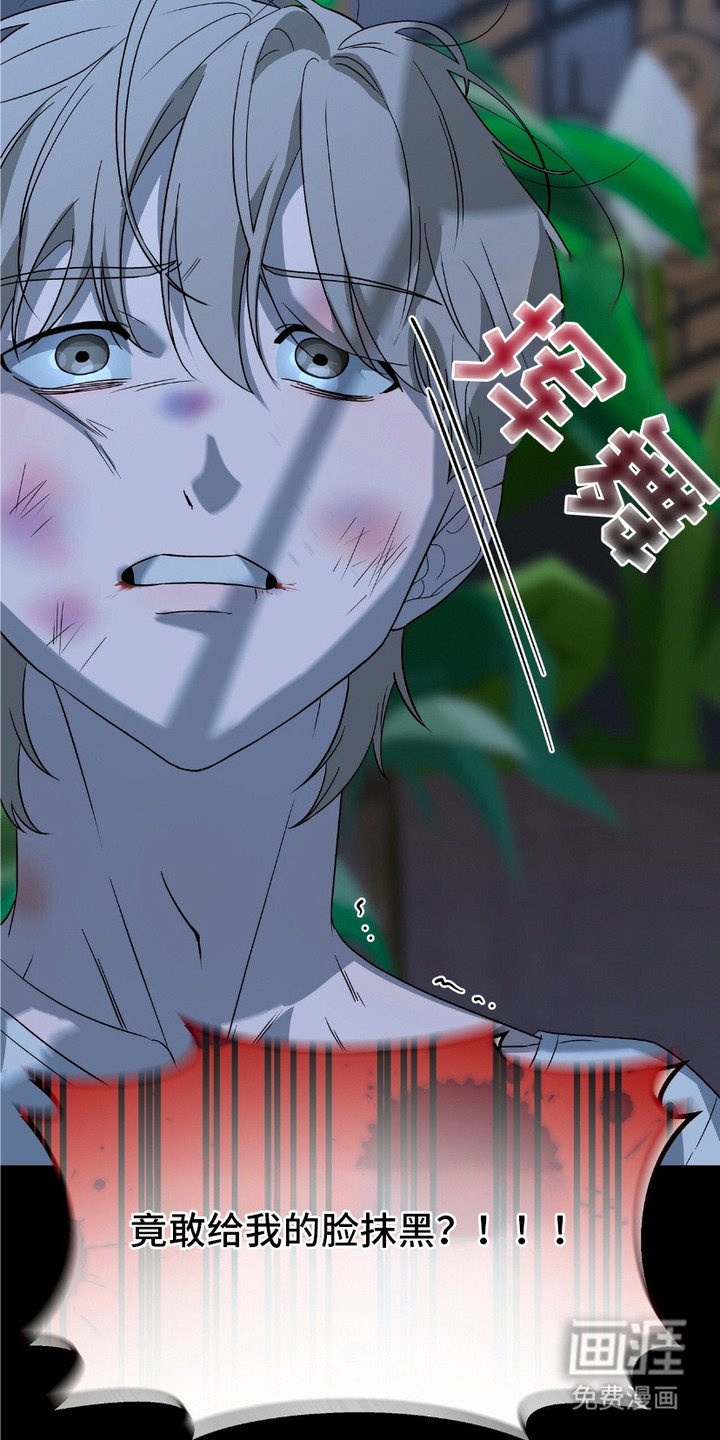 第12章：费用