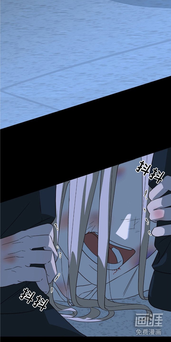 第12章：费用