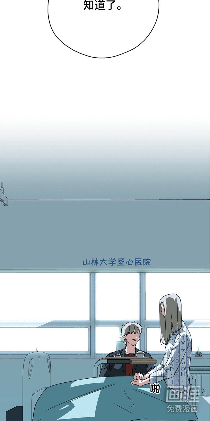 第13章：提议
