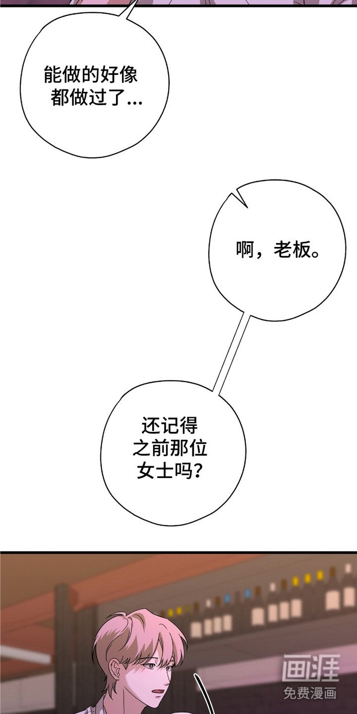 第13章：提议