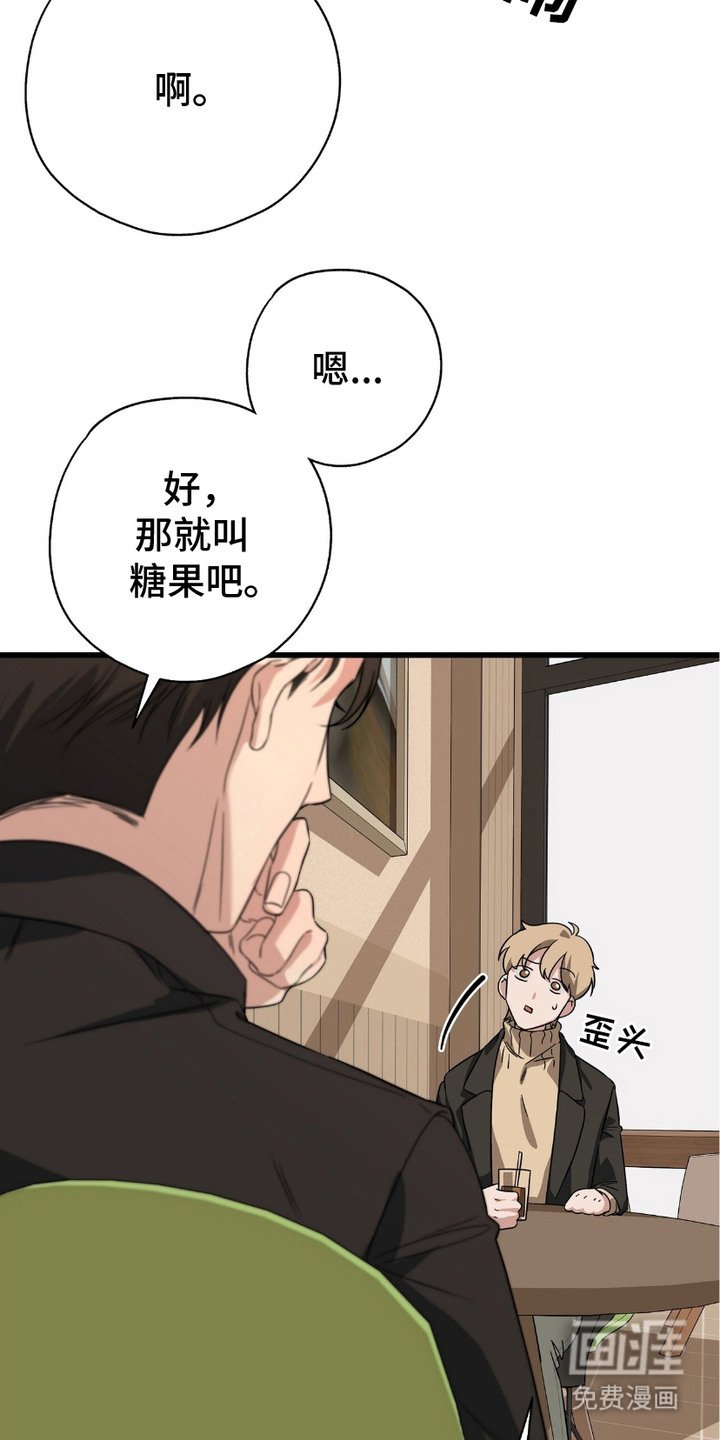 第15章：糖果