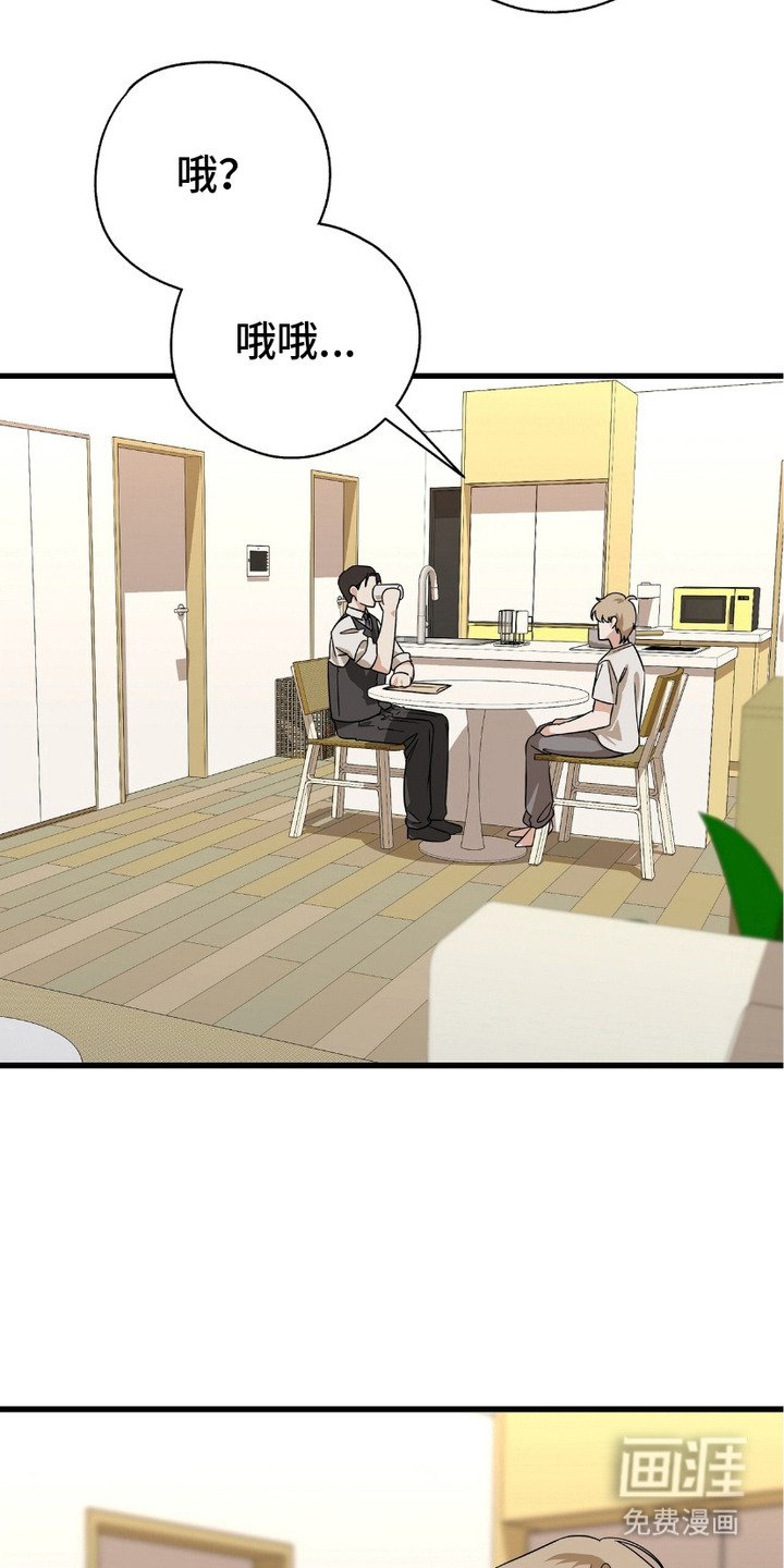 第16章：合约