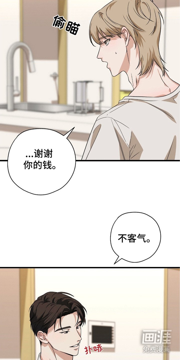 第16章：合约