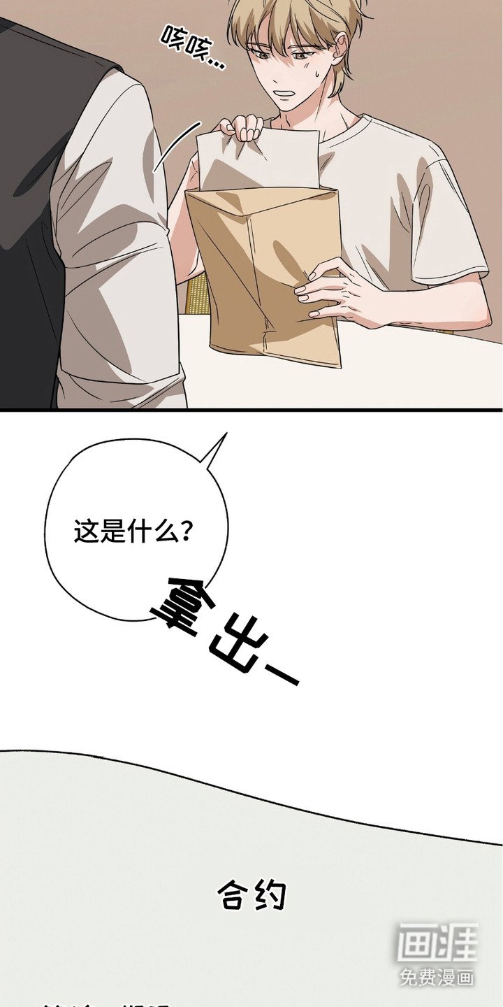 第16章：合约