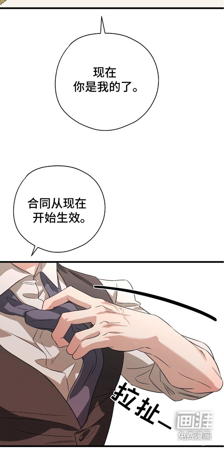 第17章：开始生效