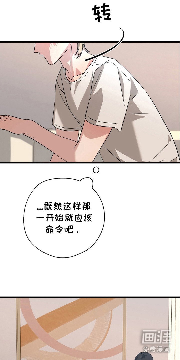 第19章：道歉 
