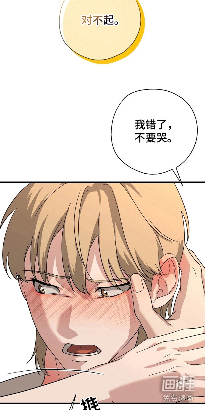 第19章：道歉 