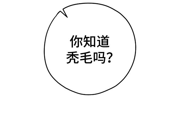 第22章：秃毛