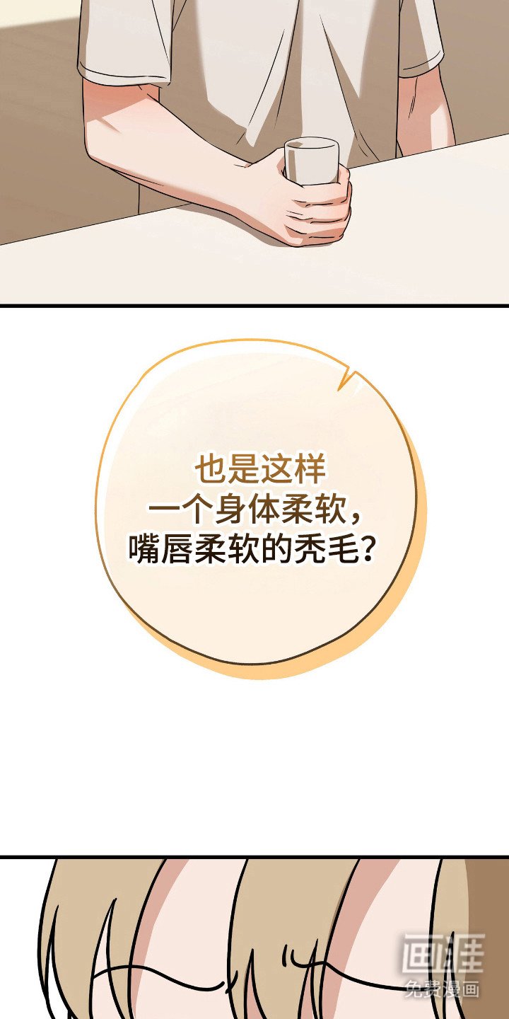 第24章：赞助对错