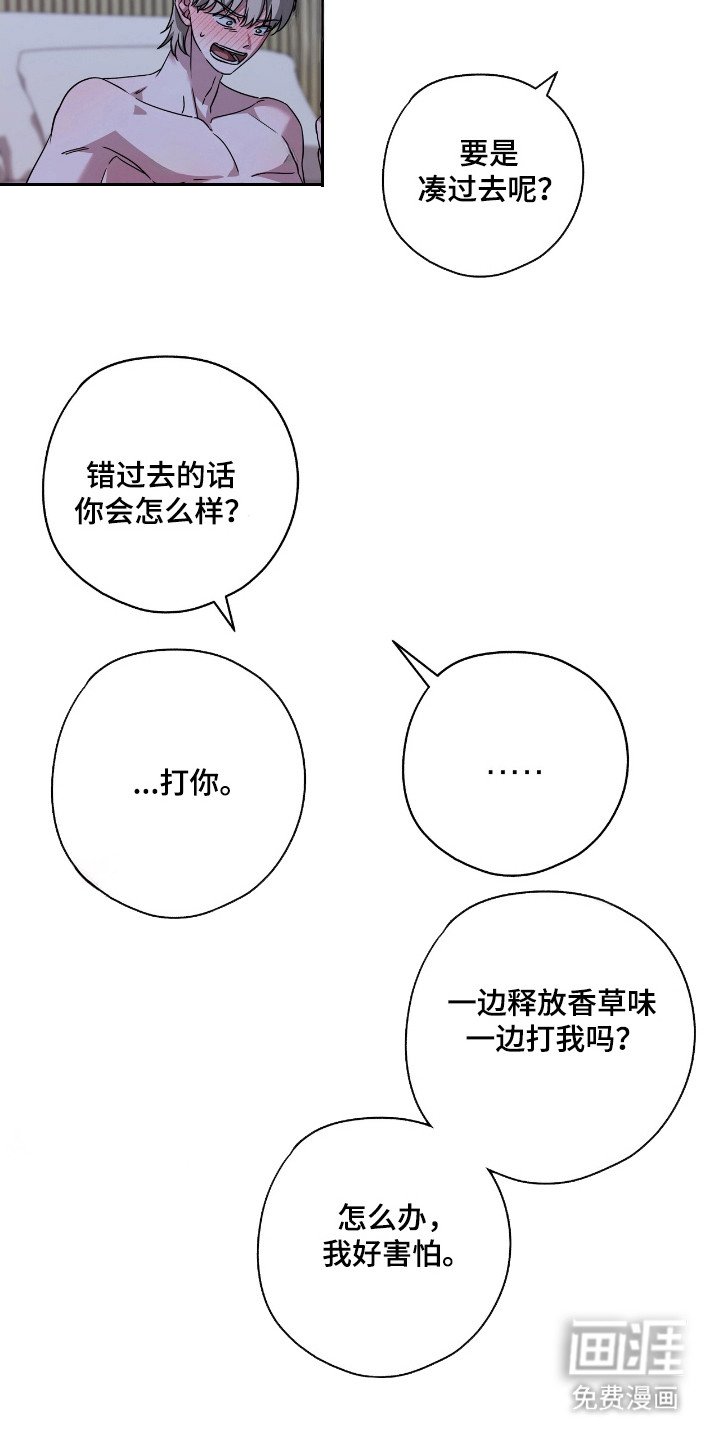 第31章：有过别人