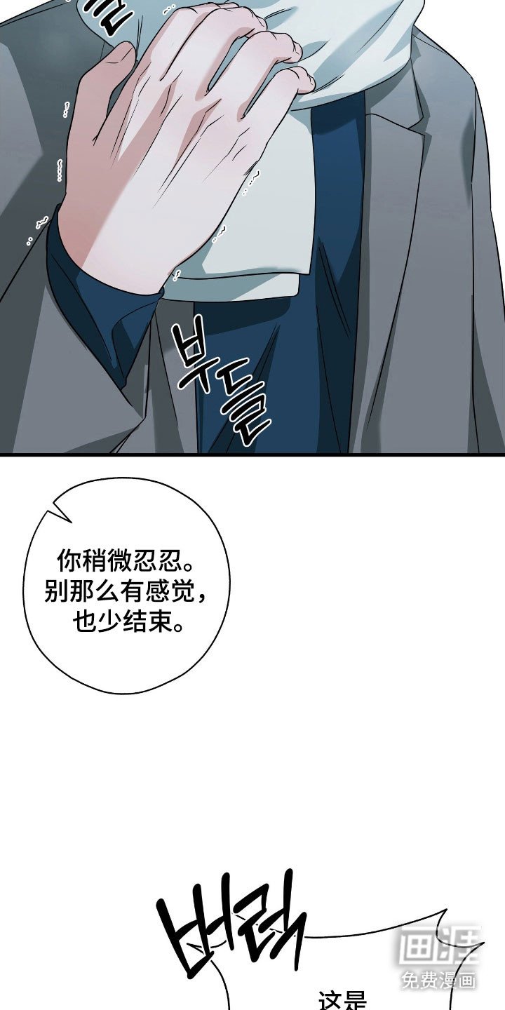 第37章：回家