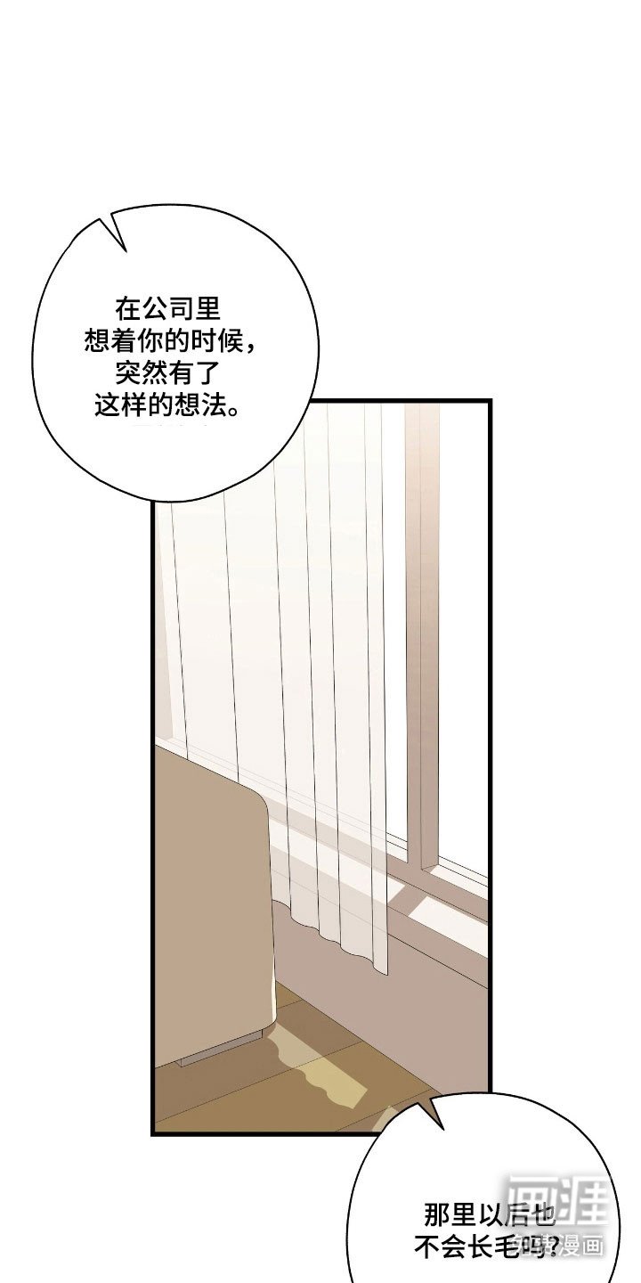 第40章：突然离开
