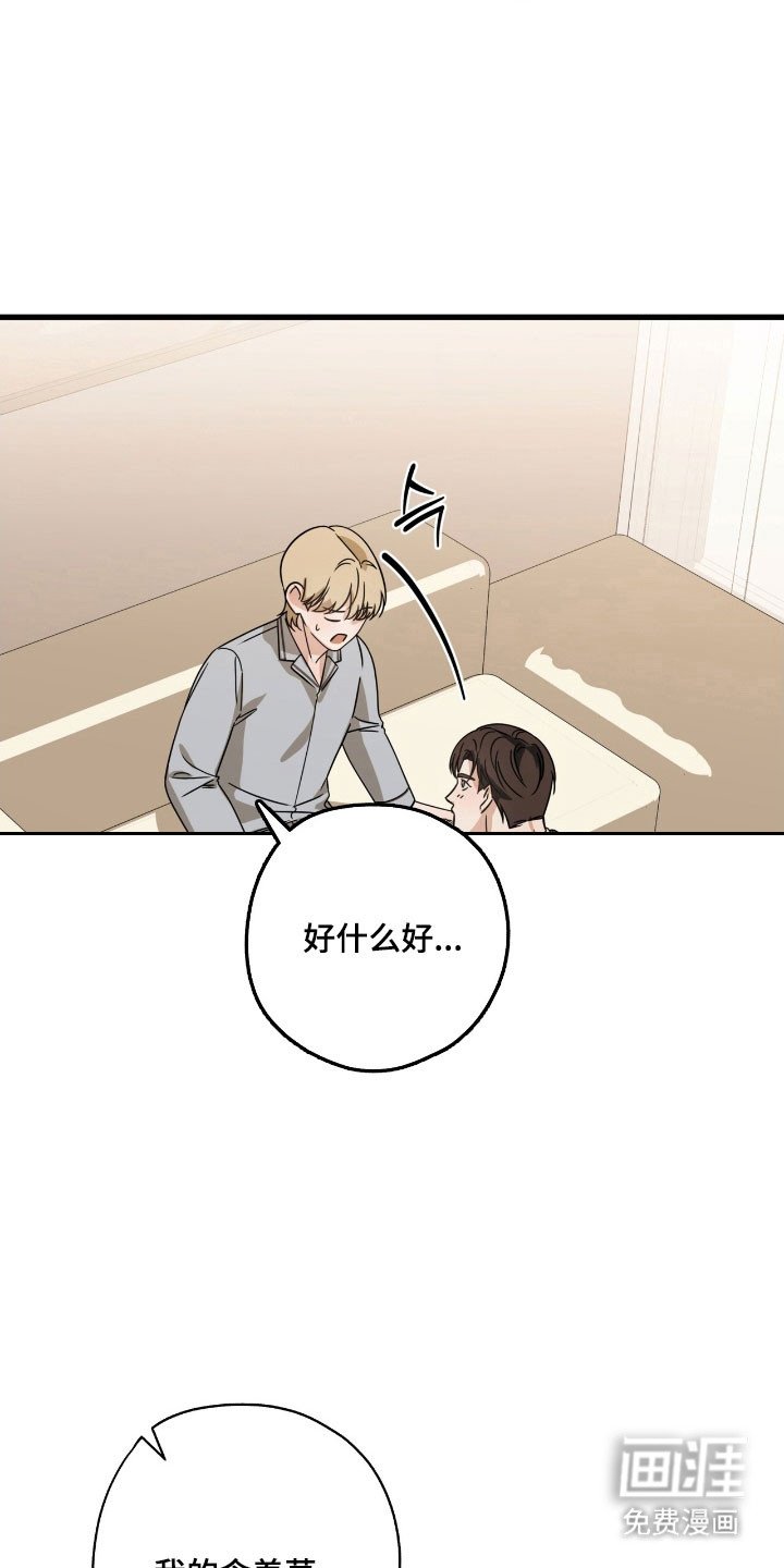 第41章：含羞草