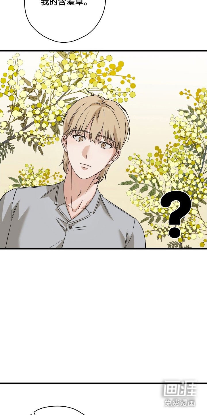 第41章：含羞草