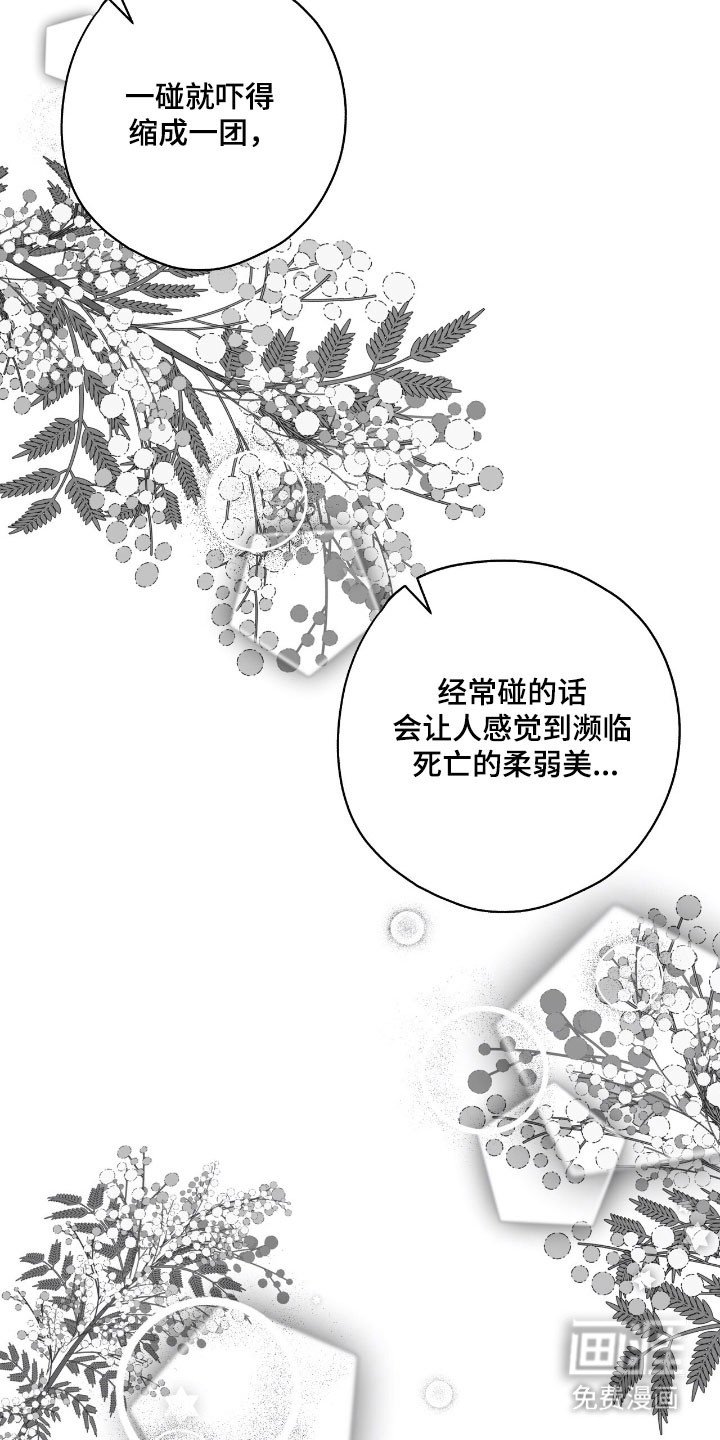 第41章：含羞草