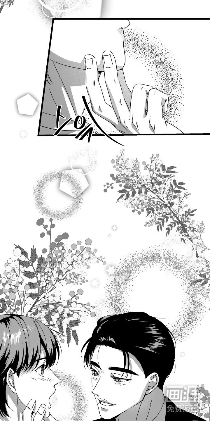 第41章：含羞草