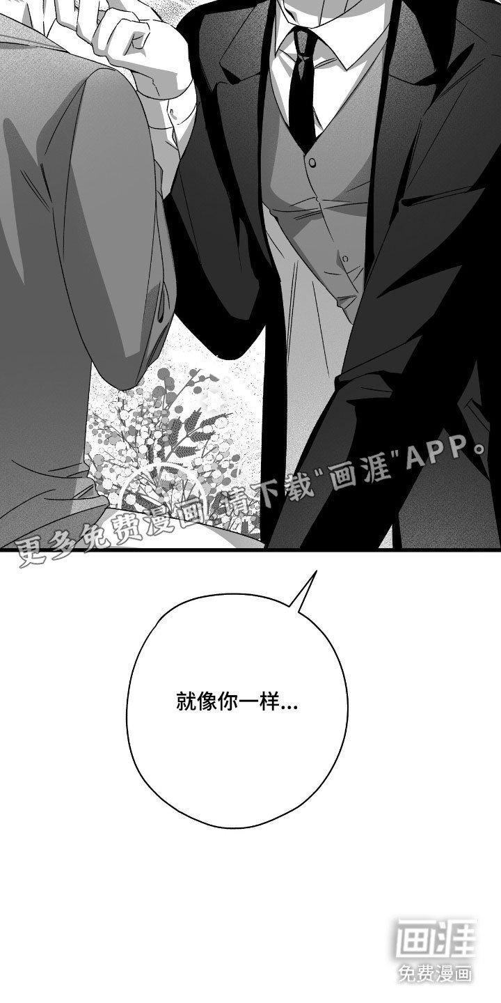 第41章：含羞草
