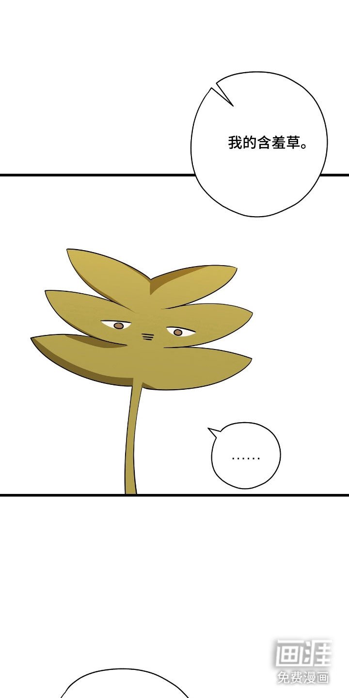第41章：含羞草