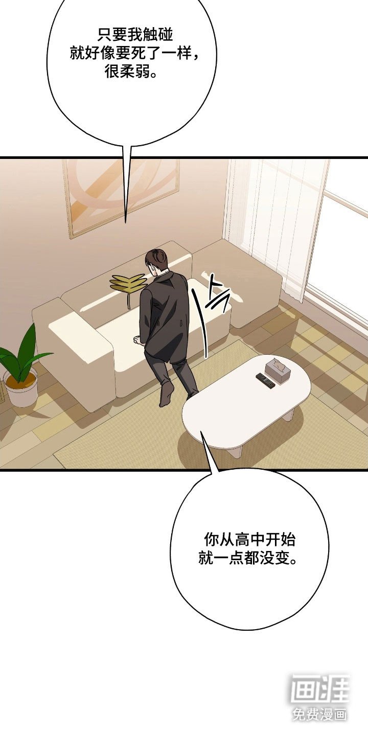 第41章：含羞草