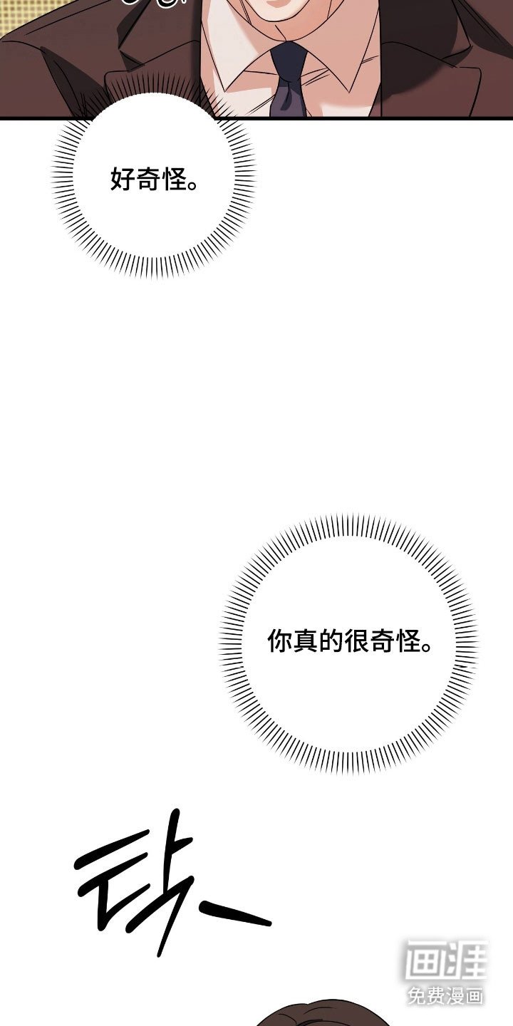 第41章：含羞草