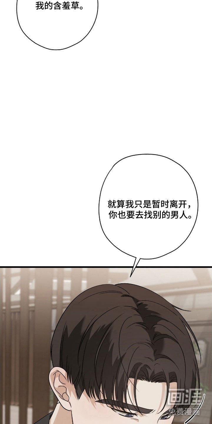 第53章：情书