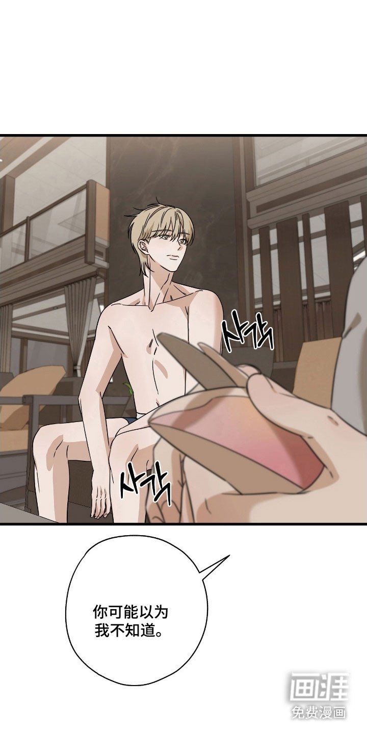 第53章：情书