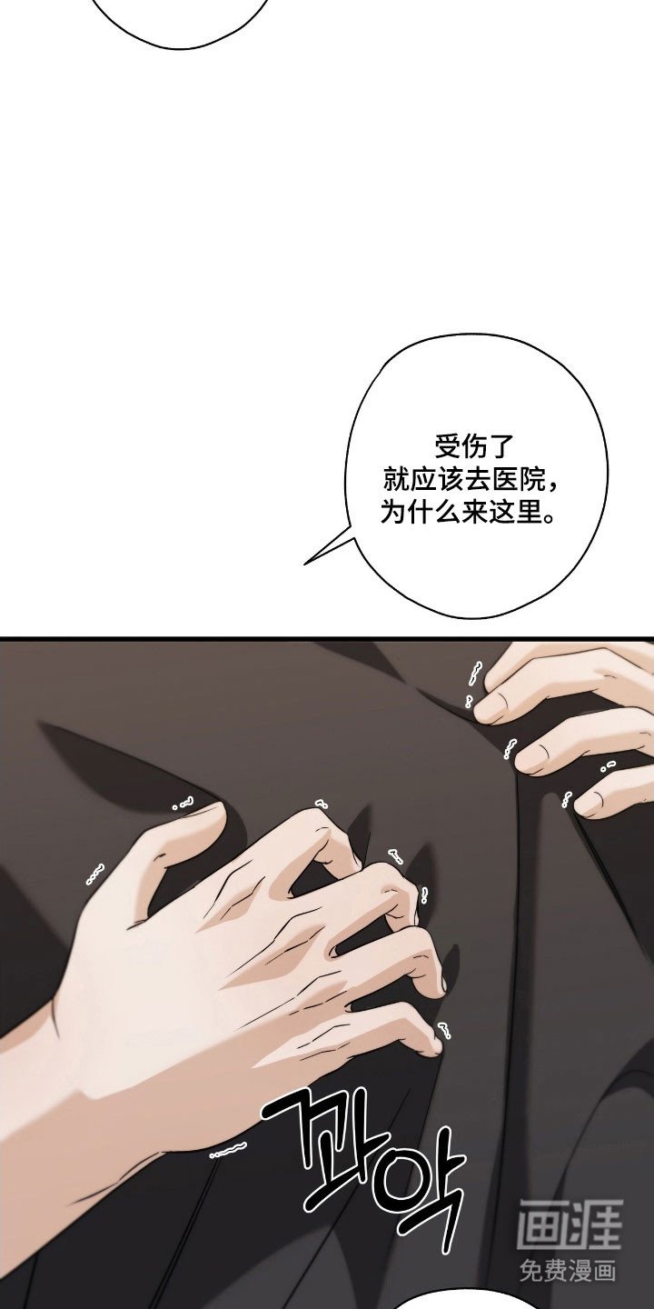 第55章：我的初恋
