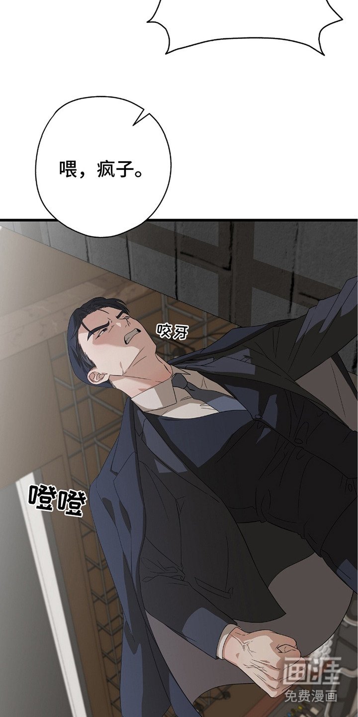 第6章：又来了