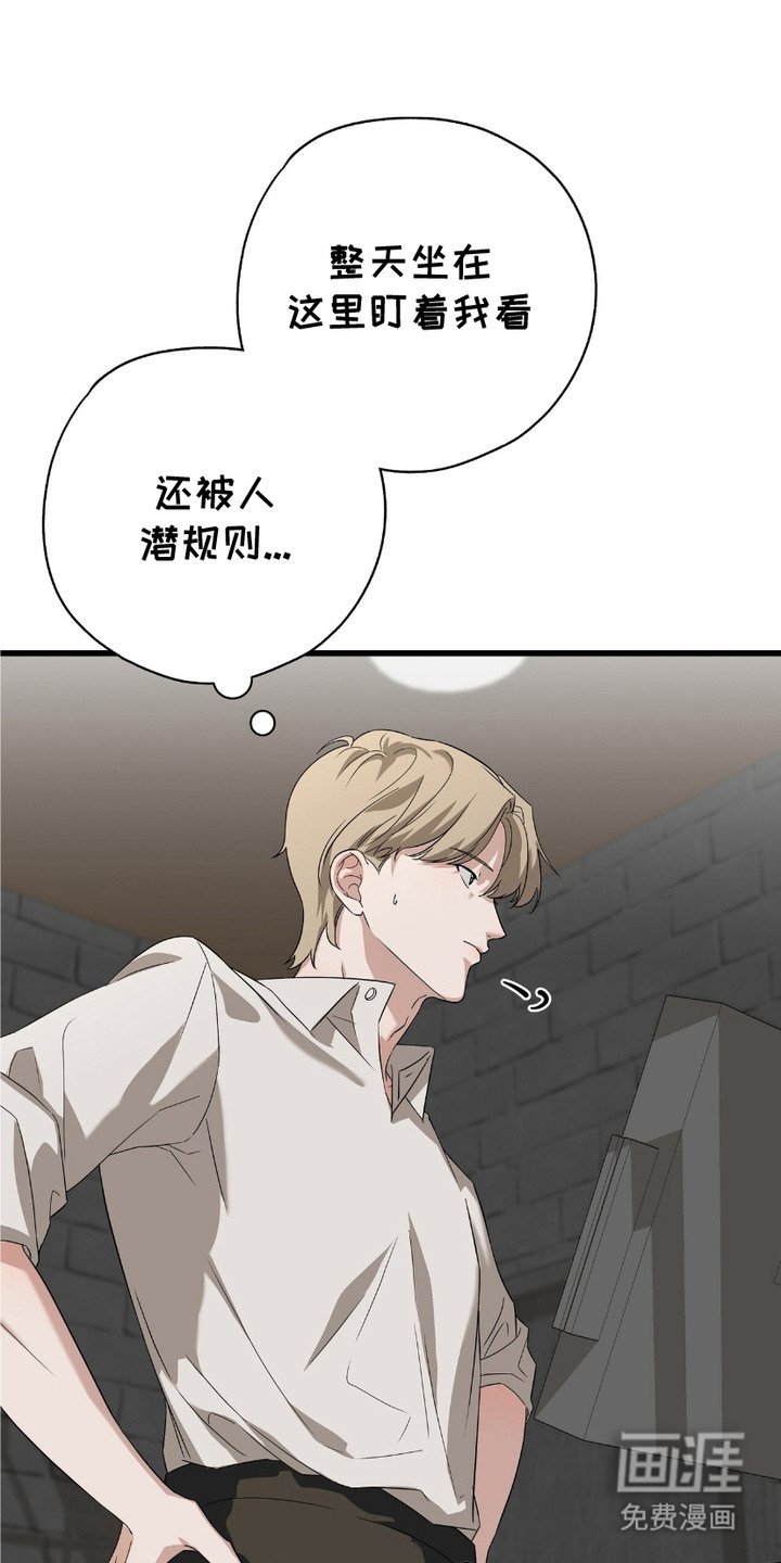第7章：犀利的眼神