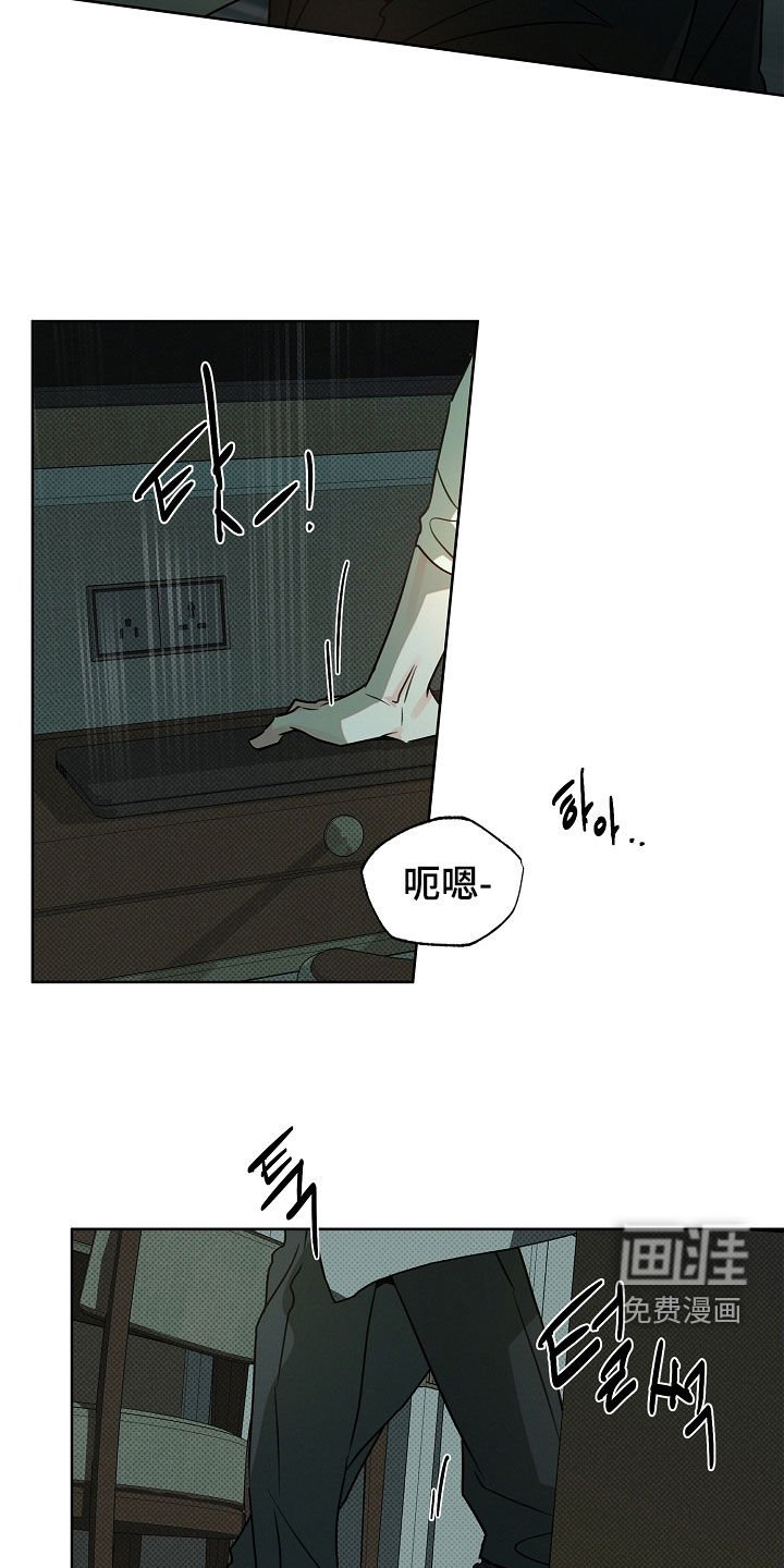 第46章：来得正好