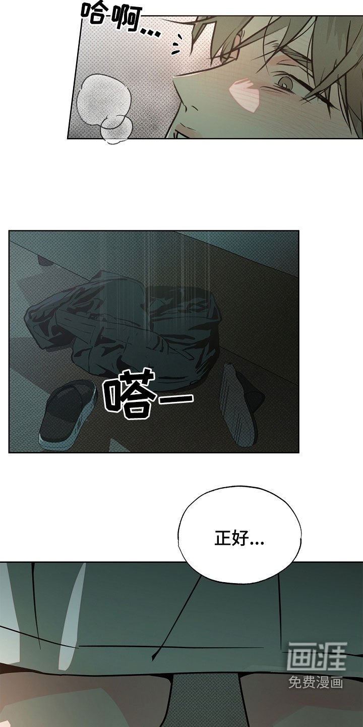第46章：来得正好