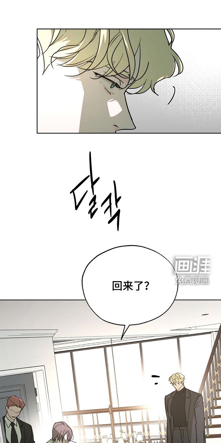 第52章：甜甜圈