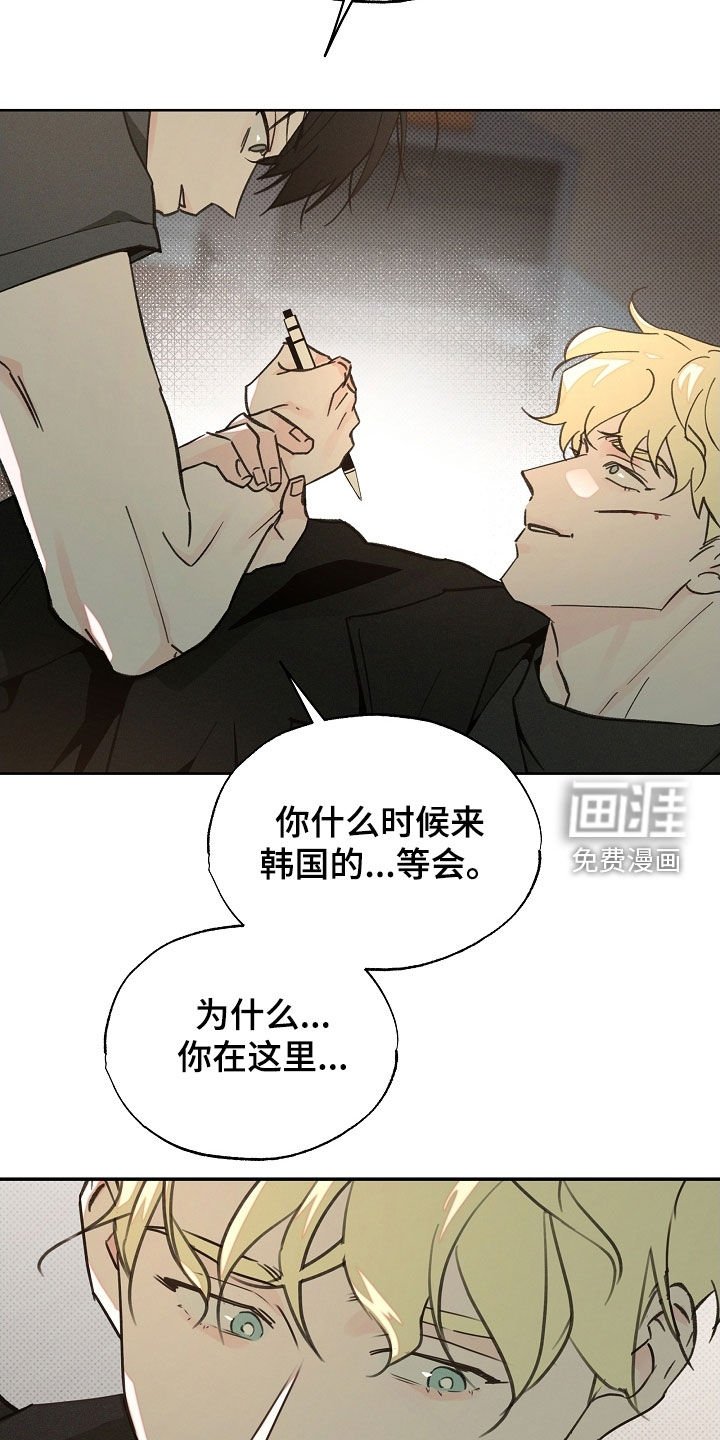 第66章：选择的机会