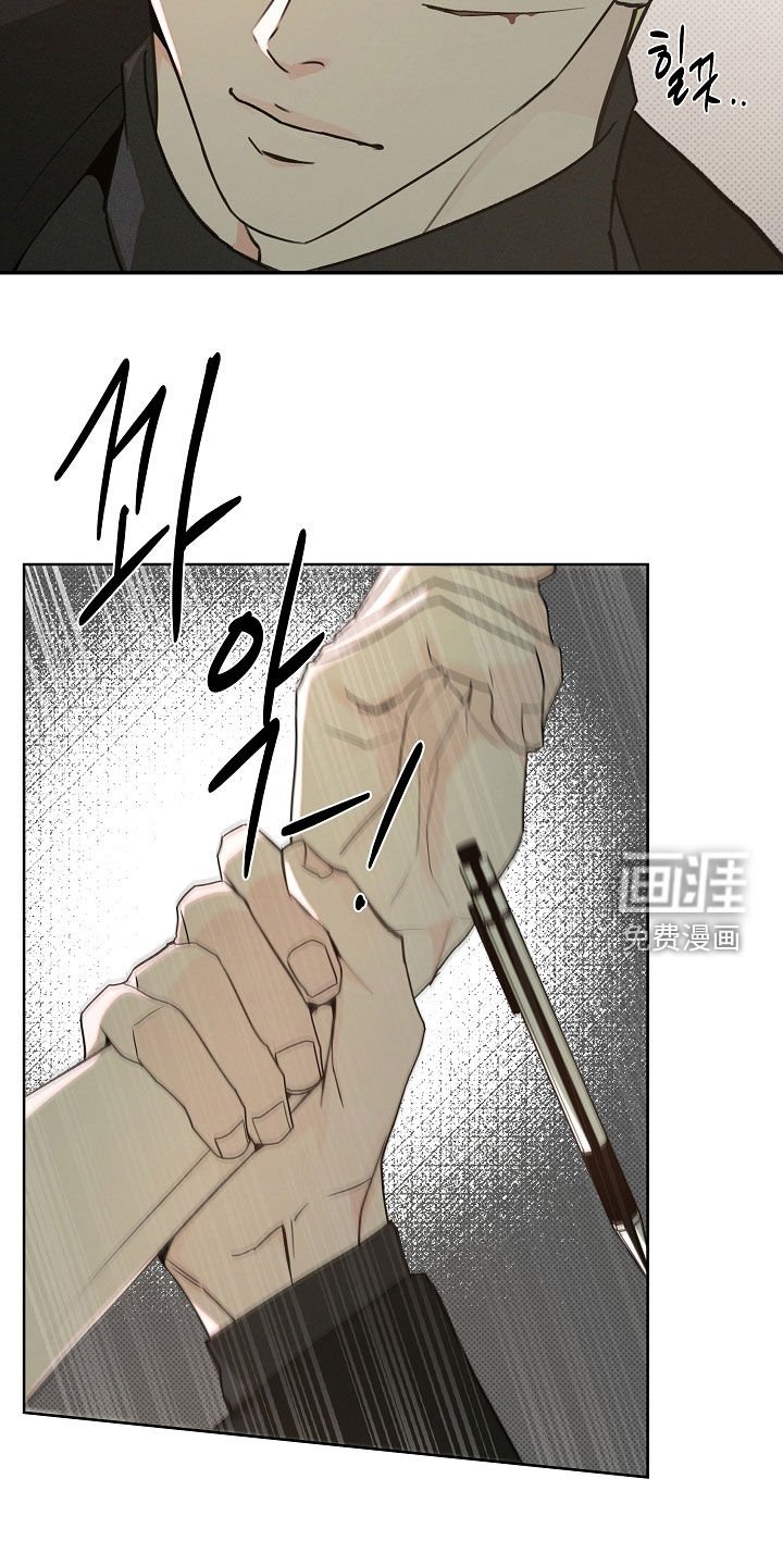 第66章：选择的机会
